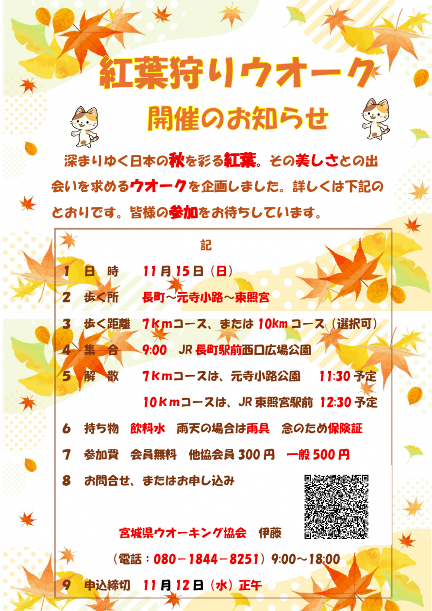ウオーキング協会チラシ