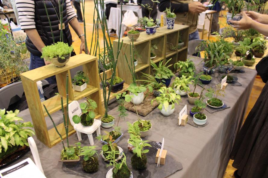 各種苔関係作品