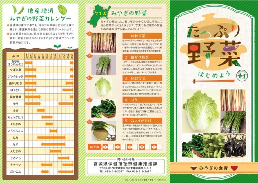 H27作成リーフ_野菜