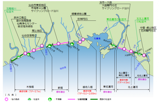 運河群への桜配置計画図