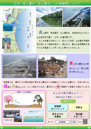 日本一長い運河「貞山運河」への桜植樹について（概要）