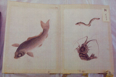 宮城県漁具図解（右：鰌、海老　左：鯉）