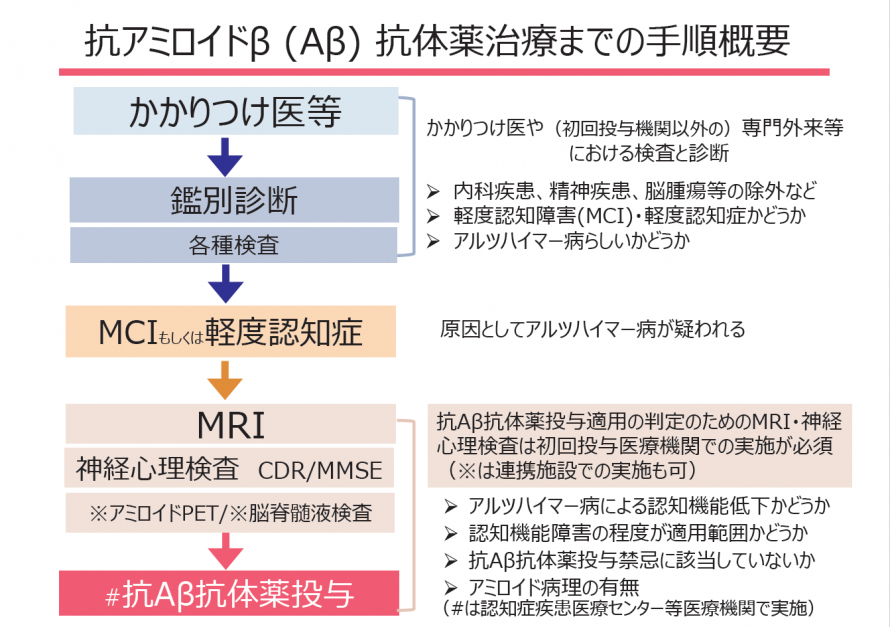 抗アミロイドβ (Aβ) 抗体薬治療までの手順概要