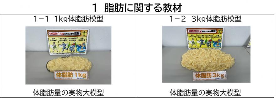 脂肪に関する教材