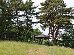 「旭山から望む初夏の田園風景」へのリンク