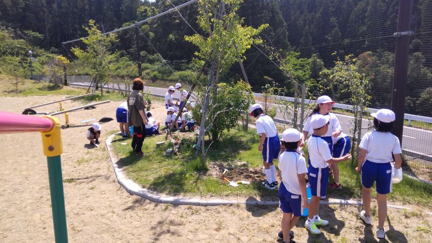 餌木の植樹の様子その1
