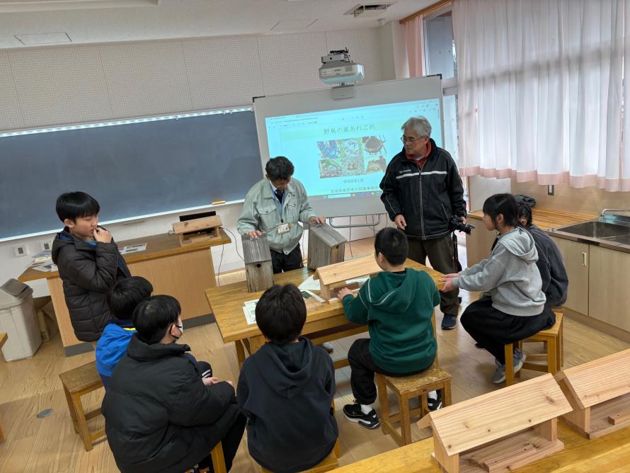 営巣の様子その1