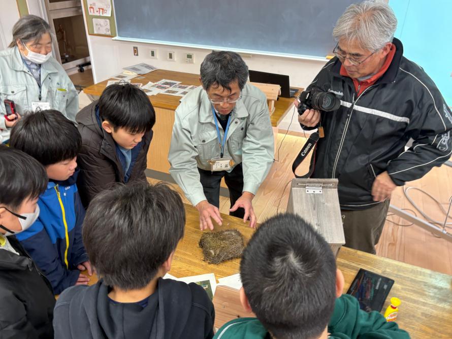営巣の様子その2
