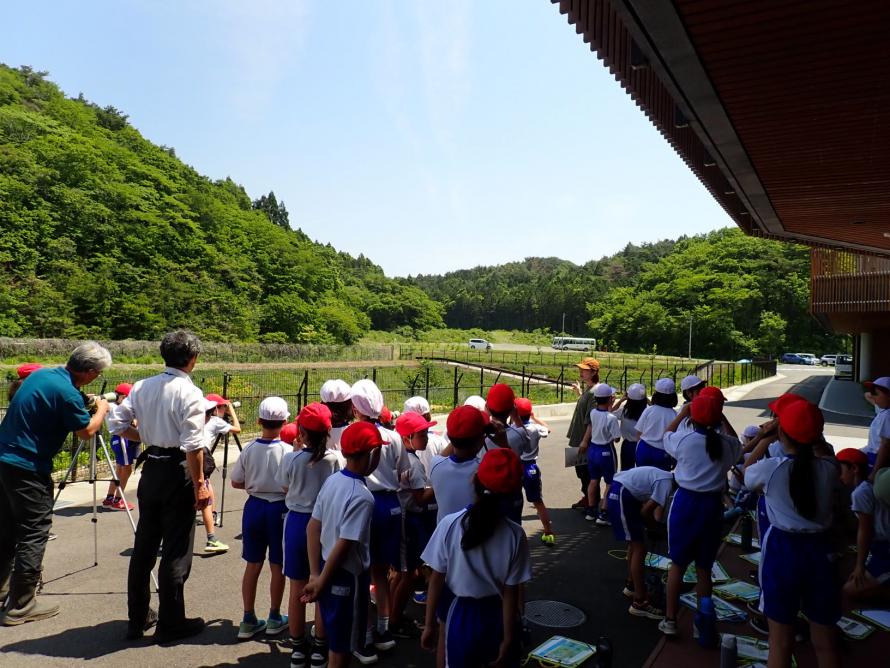 野鳥観察の様子